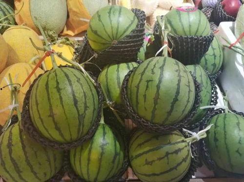 一元免费吃瓜,夏日狂欢盛宴来袭！  第3张